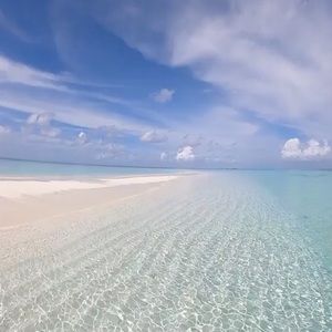 Meet your Posher, Corina